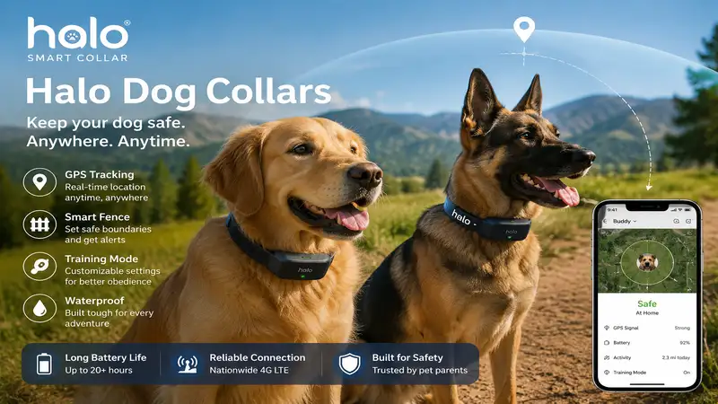 halo dog collars worn by active dogs outdoors with GPS tracking and smart fence technology