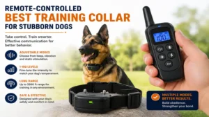 best training collar for stubborn dogs with remote control and adjustable training modes