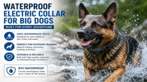waterproof electric collar for big dogs used during outdoor obedience training
