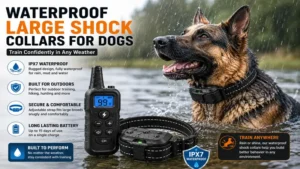 waterproof large shock collars for dogs used for outdoor obedience training in wet conditions