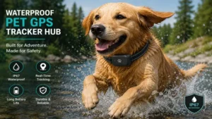 Waterproof Pet GPS Tracker Hub attached to a dog collar during outdoor activities
