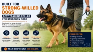 best training collar for stubborn dogs designed for large breed obedience training
