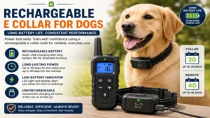 Best e collar for dogs with rechargeable battery and long-lasting remote training control