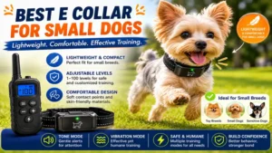 Best e collar for dogs designed for small breeds with lightweight and comfortable fit