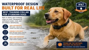 best training collar for stubborn dogs with waterproof design for outdoor activities