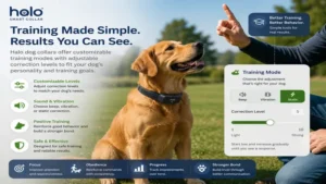 halo dog collars being used for dog training with customizable correction settings