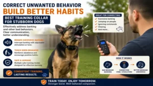 best training collar for stubborn dogs helping correct barking and unwanted behavior
