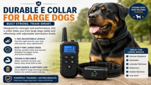 Best e collar for dogs built for large breeds with adjustable levels and durable materials