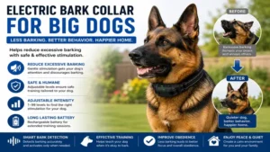 electric bark collar for big dogs designed to reduce excessive barking safely