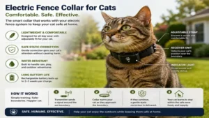 Cat wearing a compatible collar used with an electric fence for cats system