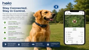 halo dog collars connected to a mobile app for monitoring location and activity