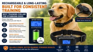 best training collar for stubborn dogs with rechargeable battery and long-lasting performance