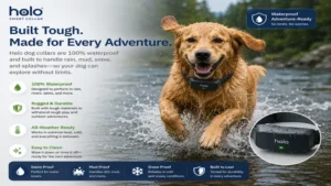 halo dog collars featuring a durable waterproof design for all-weather use
