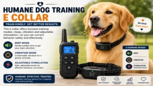 Best e collar for dogs with humane beep and vibration training modes for safe behavior correction