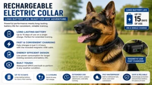 rechargeable electric collar for big dogs with long battery life and waterproof build