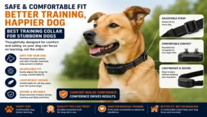 best training collar for stubborn dogs with safe and comfortable adjustable fit