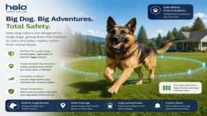halo dog collars fitted on a large dog running safely within a virtual fence area