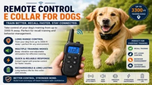 Best e collar for dogs with remote control and long-range recall training features