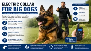 training electric collar for big dogs with remote control for obedience training