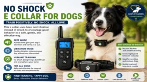 Best e collar for dogs with no shock vibration and beep modes for gentle positive reinforcement training