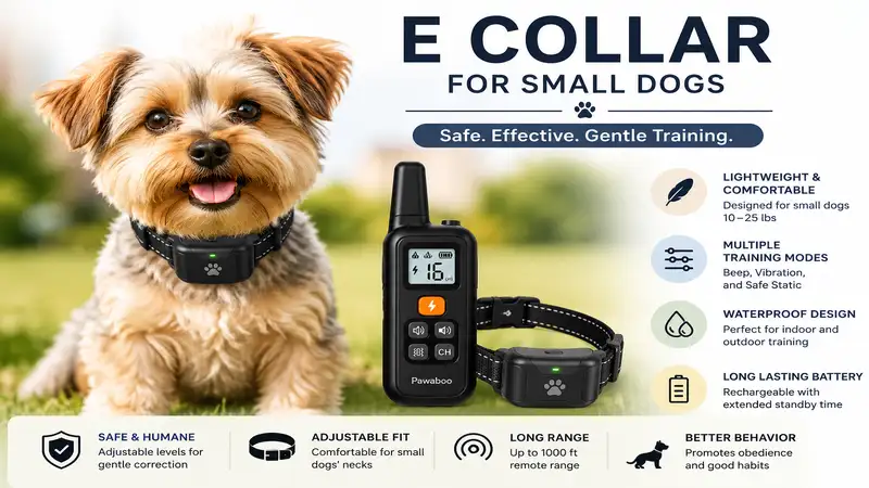 e collar for small dogs with adjustable fit and lightweight waterproof design