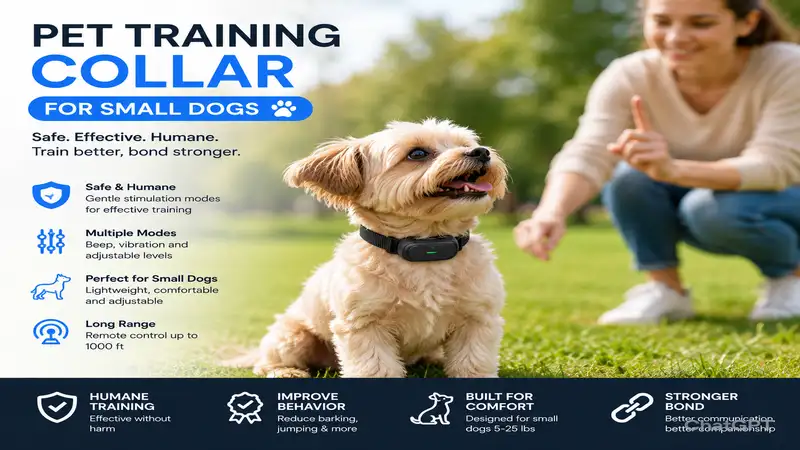 pet training collar for small dogs being used during an outdoor obedience training session