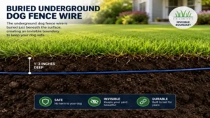 Buried underground dog fence wire beneath a lawn creating an invisible boundary for dogs