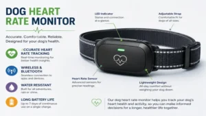 Dog heart rate monitor device designed for accurate canine heart rate tracking at home or in veterinary care.
