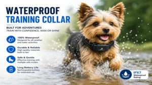 waterproof dog training collars for small dogs designed for outdoor and water activities