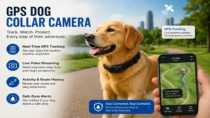 gps dog collar webcam with real-time tracking and live location monitoring