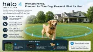 halo 4 dog collar creating a wireless dog fence without physical boundary wires