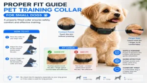 pet training collar for small dogs proper fit guide showing correct collar placement and adjustment