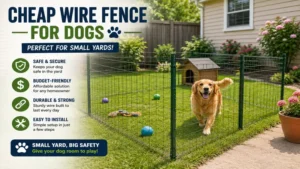 Small backyard protected with a cheap wire fence for dogs allowing pets to play safely outdoors