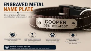 dog collars with name plates showcasing a close-up engraved metal identification plate