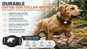 Durable airtag dog collar holder built for active dogs with rugged protection against daily wear and impact
