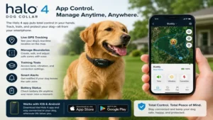 halo 4 dog collar connected to a smartphone app for remote pet management