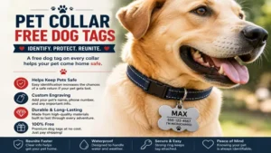 Free dog tags attached to a pet collar for easy identification