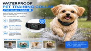 waterproof pet training collar for small dogs designed for rain, puddles, and outdoor activities