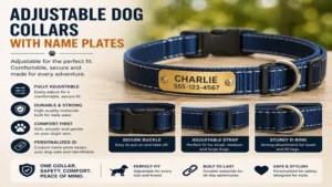 dog collars with name plates designed with adjustable straps for a secure and comfortable fit