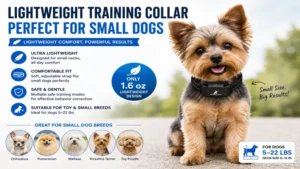 lightweight dog training collars for small dogs with comfortable adjustable fit