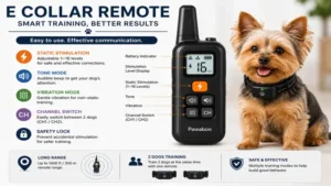 Remote control features of an e collar for small dogs with multiple training modes
