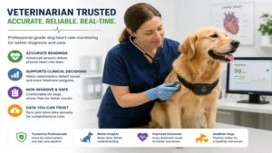 Veterinarian using a dog heart rate monitor to evaluate a dog's cardiac health during a clinic examination.