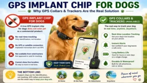 Educational comparison showing GPS collars as an alternative to gps implant chip for dogs