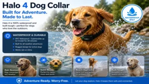 halo 4 dog collar with waterproof design suitable for outdoor adventures and play