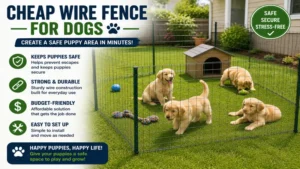 Secure puppy exercise area enclosed with a cheap wire fence for dogs designed for everyday use