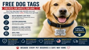 Free dog tags for pets designed to improve safety and identification