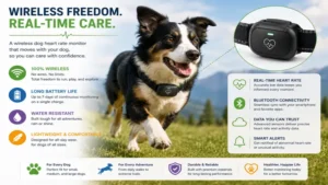Wireless dog heart rate monitor providing continuous heart rate monitoring for active and senior dogs.