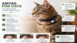 airtag for cats demonstrating the correct collar fit for safe and comfortable tracking