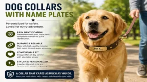 dog collars with name plates worn by a happy dog during an outdoor walk for safety and style