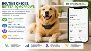 Dog heart rate monitor used for routine health checks to detect changes in canine heart rate over time.